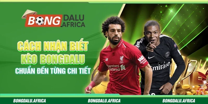 Cách Nhận Biết Kèo Bongdalu - Chuẩn Đến Từng Chi Tiết