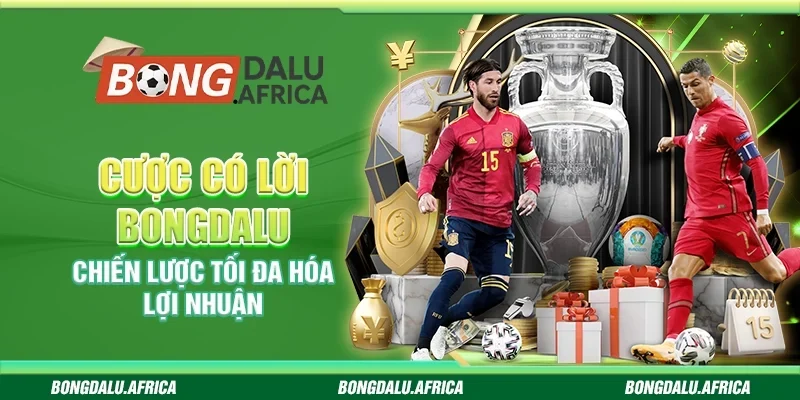 Cược Có Lời Bongdalu - Chiến Lược Tối Đa Hóa Lợi Nhuận