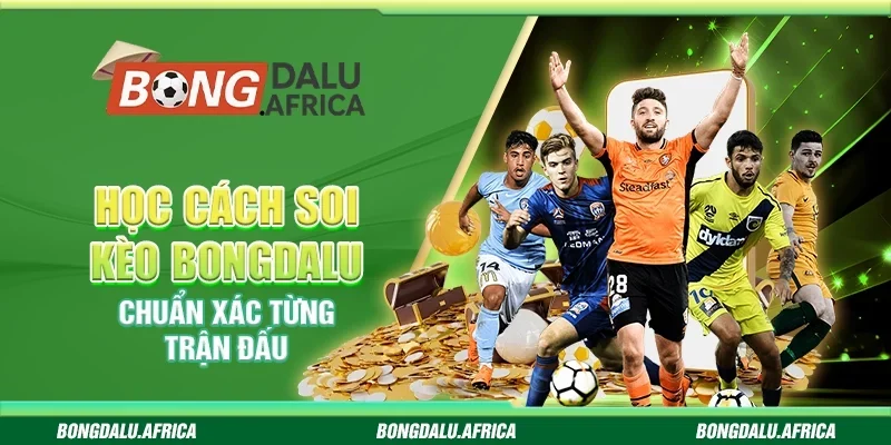 Học Cách Soi Kèo Bongdalu - Chuẩn Xác Từng Trận Đấu