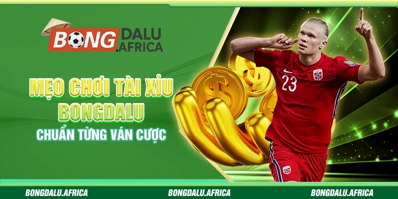 Mẹo Chơi Tài Xỉu Bongdalu - Chuẩn Từng Ván Cược