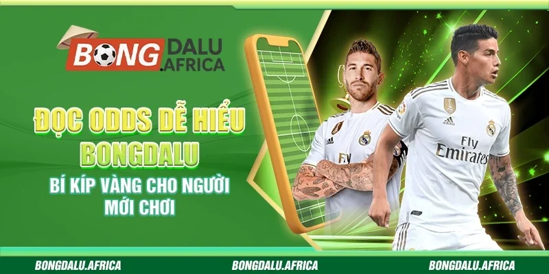 Đọc Odds Dễ Hiểu Bongdalu - Bí Kíp Vàng Cho Người Mới Chơi
