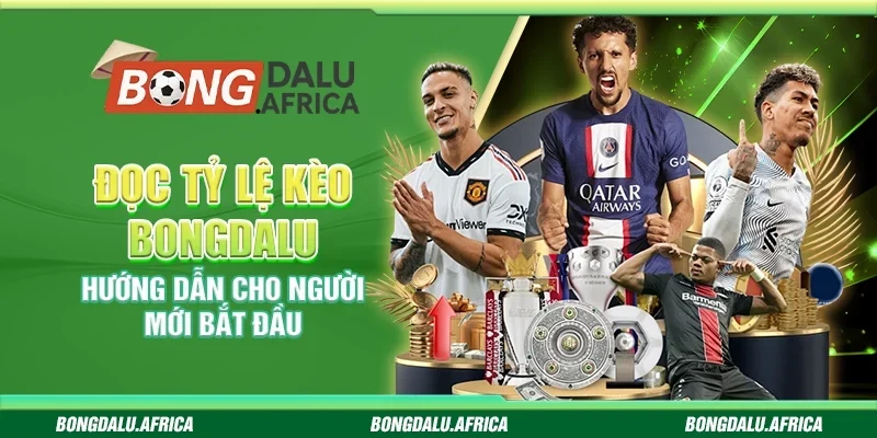 Đọc Tỷ Lệ Kèo Bongdalu - Hướng Dẫn Cho Người Mới Bắt Đầu