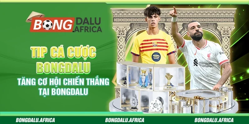 Tip Cá Cược Bongdalu - Tăng Cơ Hội Chiến Thắng Tại Bongdalu