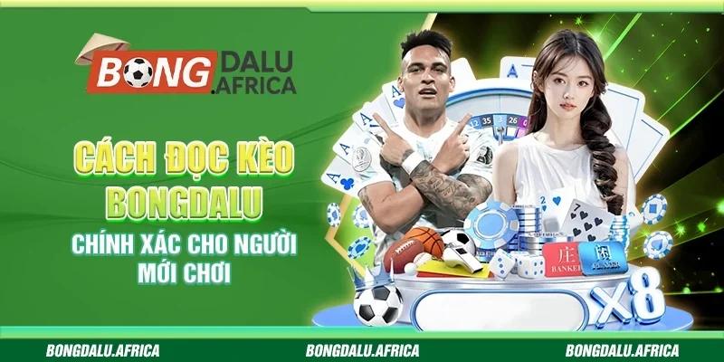 Cách Đọc Kèo Bongdalu - Chính Xác Cho Người Mới Chơi