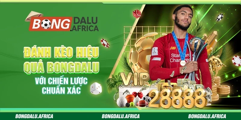 Đánh Kèo Hiệu Quả Bongdalu - Với Chiến Lược Chuẩn Xác