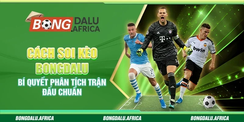 Cách Soi Kèo Bongdalu – Bí Quyết Phân Tích Trận Đấu Chuẩn