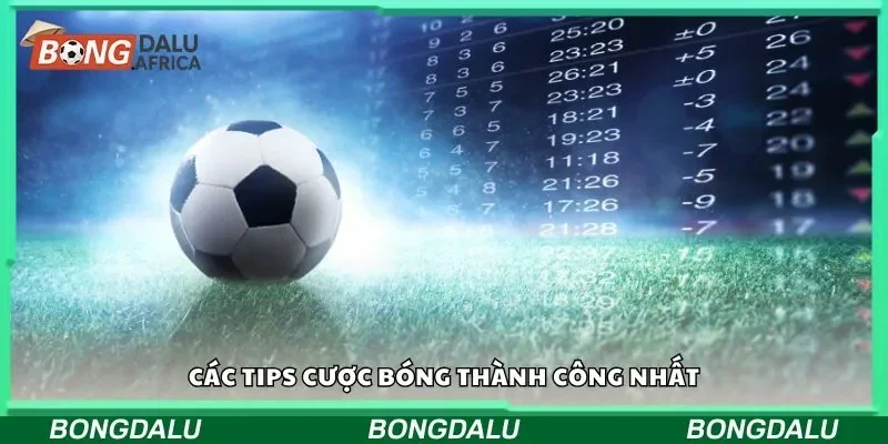 Các tips cược bóng thành công nhất