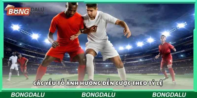 Các yếu tố ảnh hưởng đến cược theo tỷ lệ
