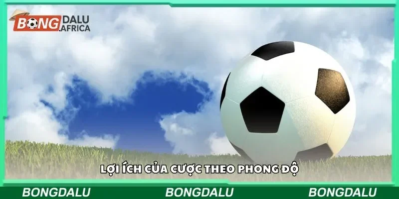 Lợi ích của cược theo phong độ