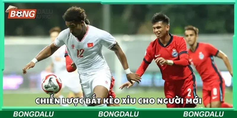 Một số chiến lược bắt kèo cược xỉu hiệu quả