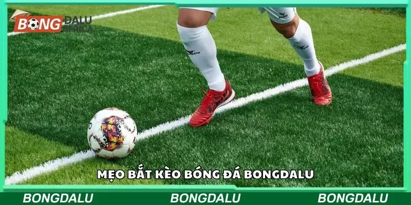 Tổng hợp một số mẹo bắt kèo trong bóng đá