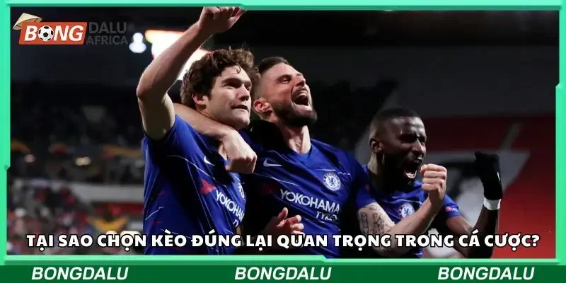 Một số yếu tố cần quan tâm khi chọn kèo