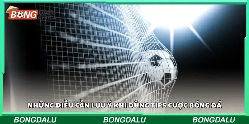 Những điều cần lưu ý khi dùng tips cược bóng đá