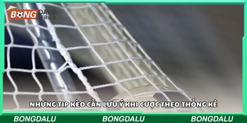 Những tip kèo cần lưu ý khi cược theo thống kê