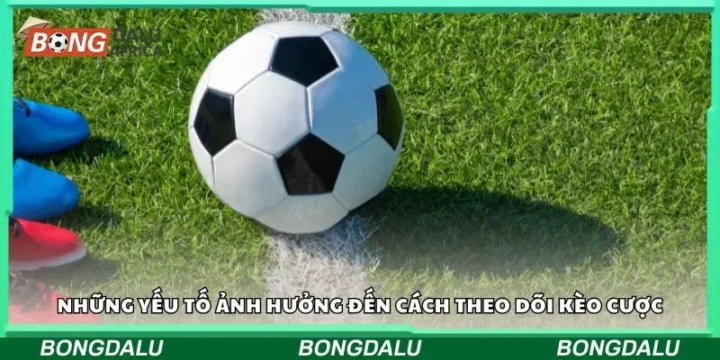 Những yếu tố ảnh hưởng đến cách theo dõi kèo cược