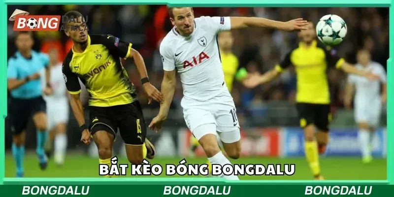 Tìm hiểu bắt kèo bóng bongdalu