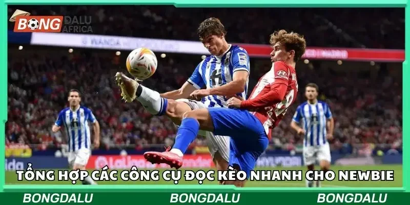 Tổng hợp các công cụ đọc kèo nhanh cho newbie