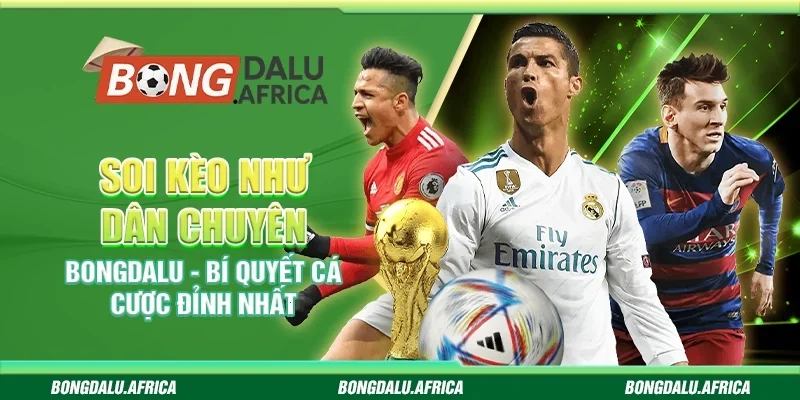 Soi Kèo Như Dân Chuyên Bongdalu – Bí Kíp Từ Cao Thủ Cá Cược
