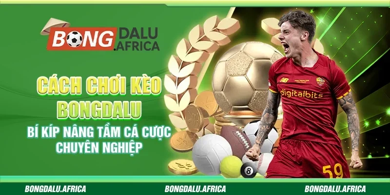 Cách Chơi Kèo Bongdalu– Bí kíp nâng tầm cá cược cho bạn