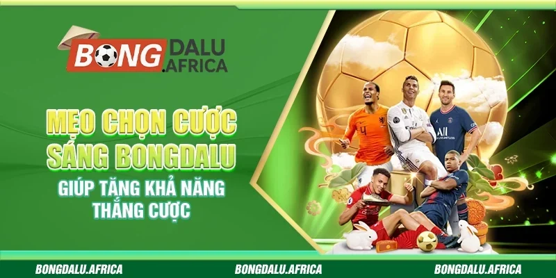 Mẹo Chọn Cược Sáng Bongdalu - Giúp Tăng Khả Năng Thắng Cược