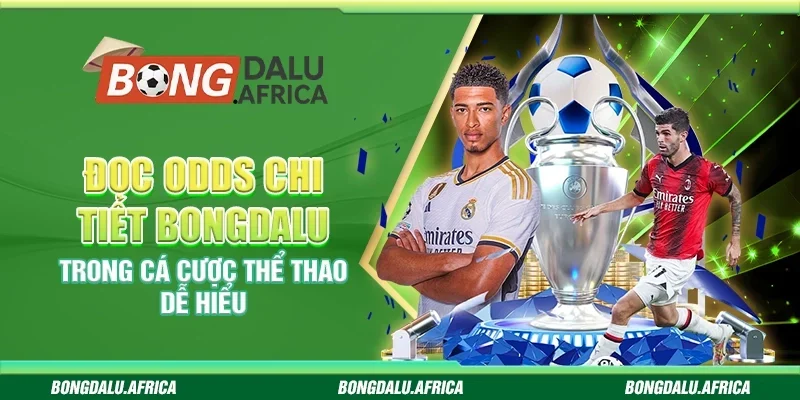 Đọc Odds Chi Tiết Bongdalu - Cá Cược Thể Thao Dễ Hiểu