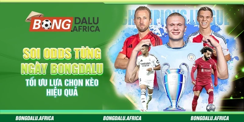 Soi Odds Từng Ngày Bongdalu - Tối Ưu Lựa Chọn Kèo Hiệu Quả