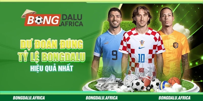 Dự Đoán Đúng Tỷ Lệ Bongdalu - Hiệu Quả Nhất