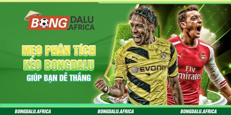 Mẹo Phân Tích Kèo Bongdalu - Giúp Bạn Dễ Thắng