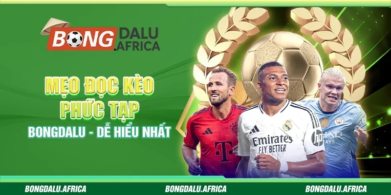 Hướng Dẫn Chọn Kèo Phụ Bongdalu - Dễ Hiểu, Trúng Cao