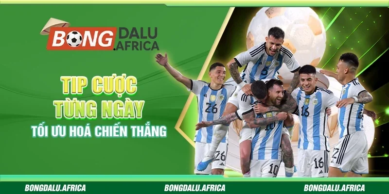 Tip Cược Từng Ngày Bongdalu - Tối Ưu Hoá Chiến Thắng