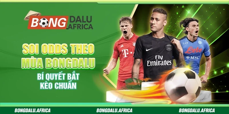 Soi Odds Theo Mùa Bongdalu - Bí Quyết Bắt Kèo Chuẩn