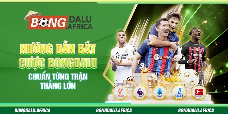 Hướng Dẫn Bắt Cược Bongdalu - Chuẩn Từng Trận Thắng Lớn