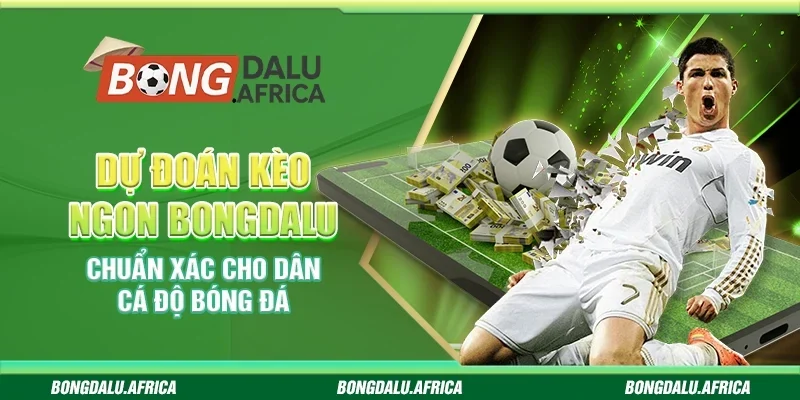 Dự Đoán Kèo Ngon Bongdalu - Chuẩn Xác Cho Dân Cá Độ Bóng Đá
