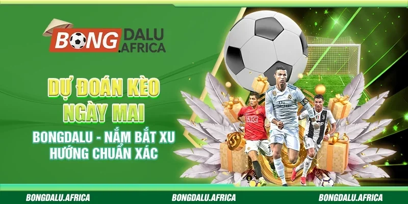 Dự Đoán Kèo Ngày Mai Bongdalu - Nắm Bắt Xu Hướng Chuẩn Xác 