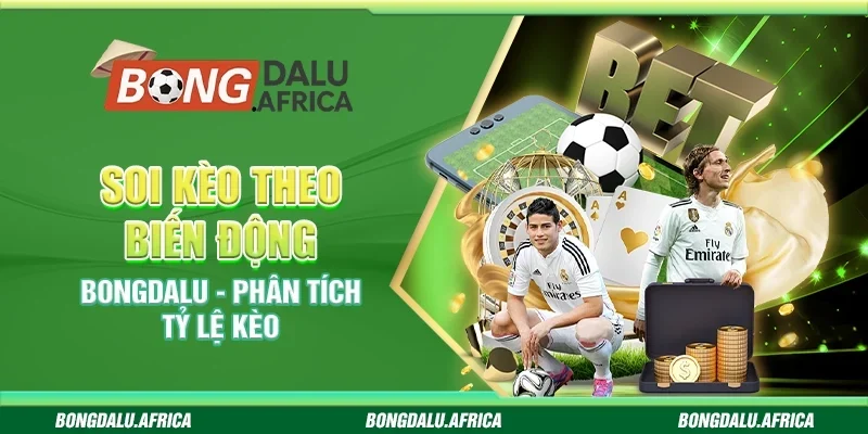 Soi Kèo Theo Biến Động Bongdalu - Phân Tích Tỷ Lệ Kèo 