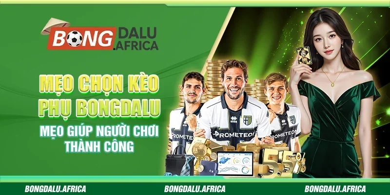 Mẹo Chọn Kèo Phụ Bongdalu - Mẹo Giúp Người Chơi Thành Công