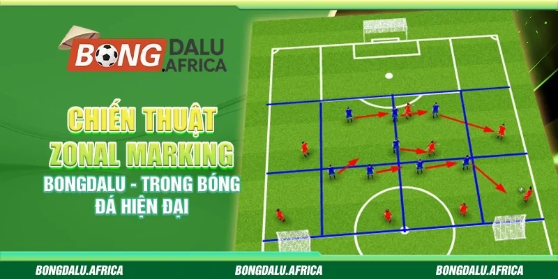Chiến Thuật Zonal Marking Bongdalu - Trong Bóng Đá Hiện Đại