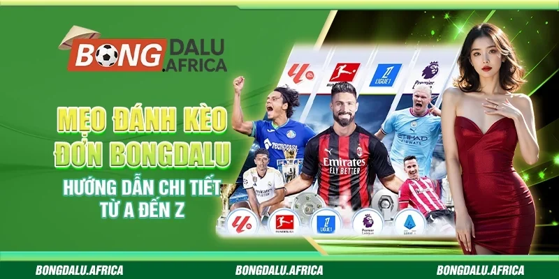 Mẹo Đánh Kèo Đơn Bongdalu – Hướng Dẫn Chi Tiết Từ A đến Z