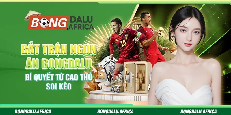 Bắt Trận Ngon Ăn Bongdalu - Bí Quyết Từ Cao Thủ Soi Kèo
