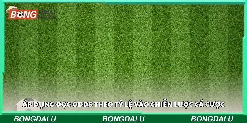 Áp dụng đọc odds theo tỷ lệ vào chiến lược cá cược