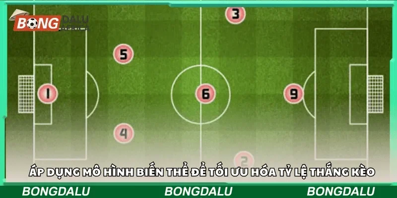 Áp dụng mô hình biến thể để tối ưu hóa tỷ lệ kèo