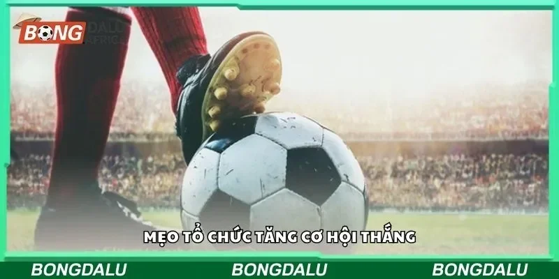 Mẹo tổ chức tăng cơ hội thắng