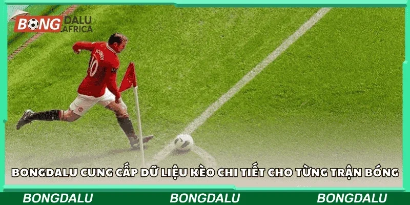 Bongdalu cung cấp dữ liệu kèo chi tiết cho từng trận bóng