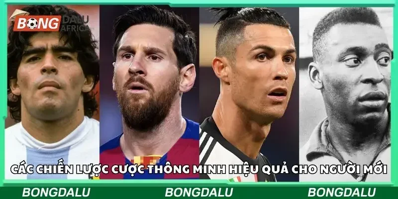Hướng dẫn cược thông minh cho newbie