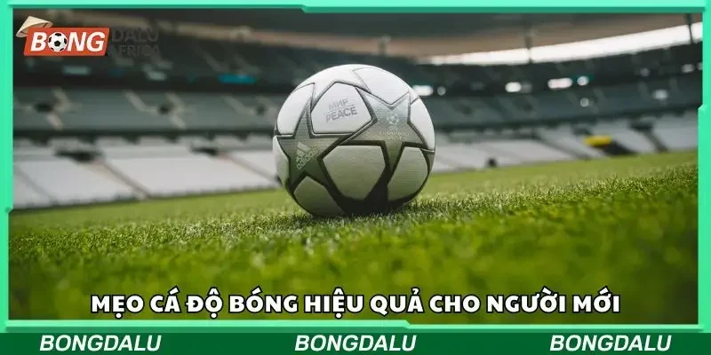 Các mẹo cá độ bóng hiệu quả