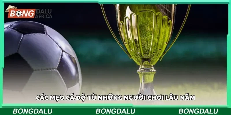 Một số lỗi sai khi dùng các mẹo cá cược nên biết