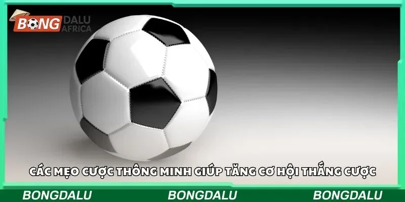 Các mẹo cược thông minh giúp tăng cơ hội thắng cược