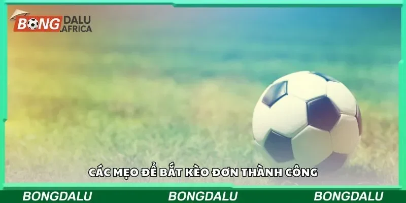 Các mẹo để bắt kèo đơn thành công