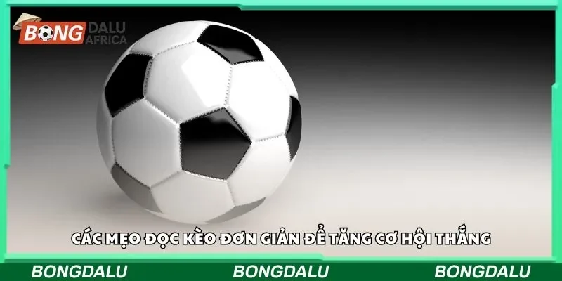 Các mẹo đọc kèo đơn giản để tăng cơ hội thắng