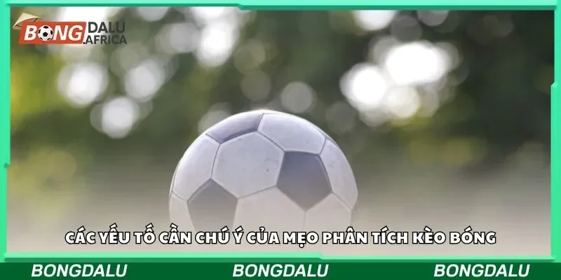 Các yếu tố cần chú ý của mẹo phân tích kèo bóng